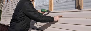 Best Siding Painting and Refinishing  in Hebbronville, TX